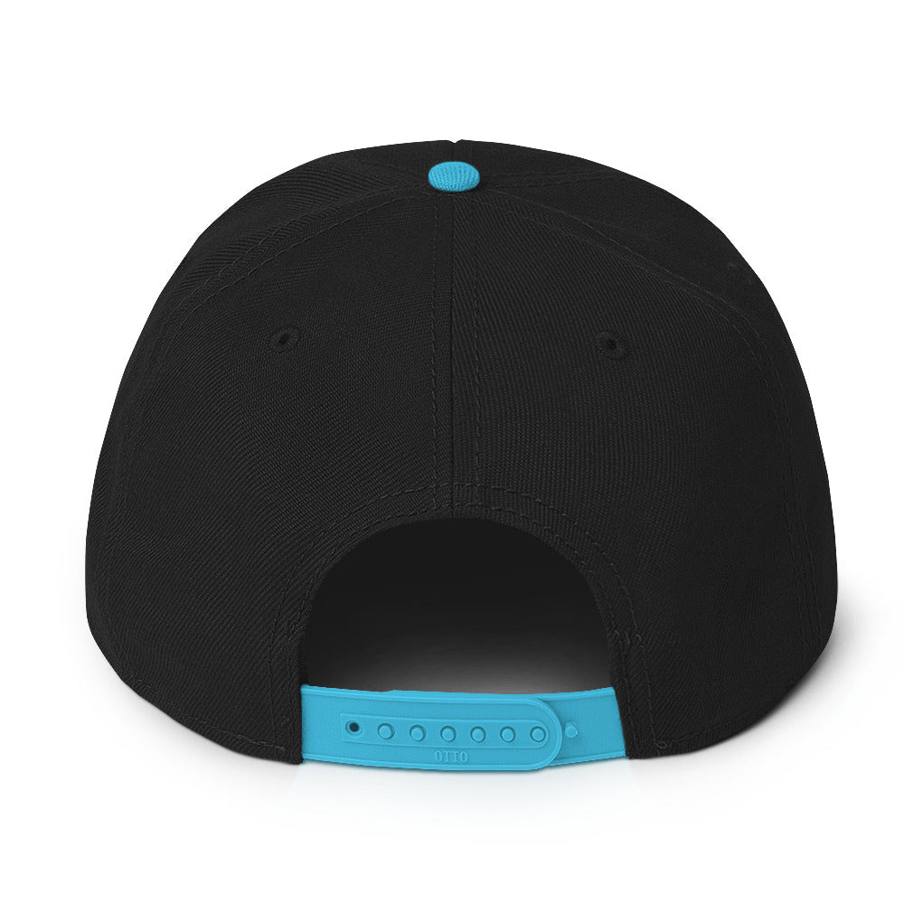 Up & Down Snapback Hat