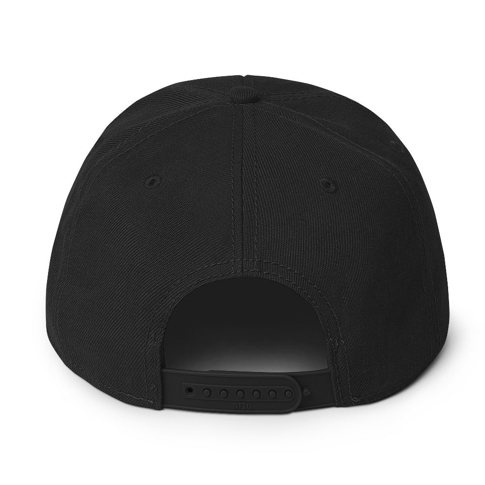 Up & Down Snapback Hat