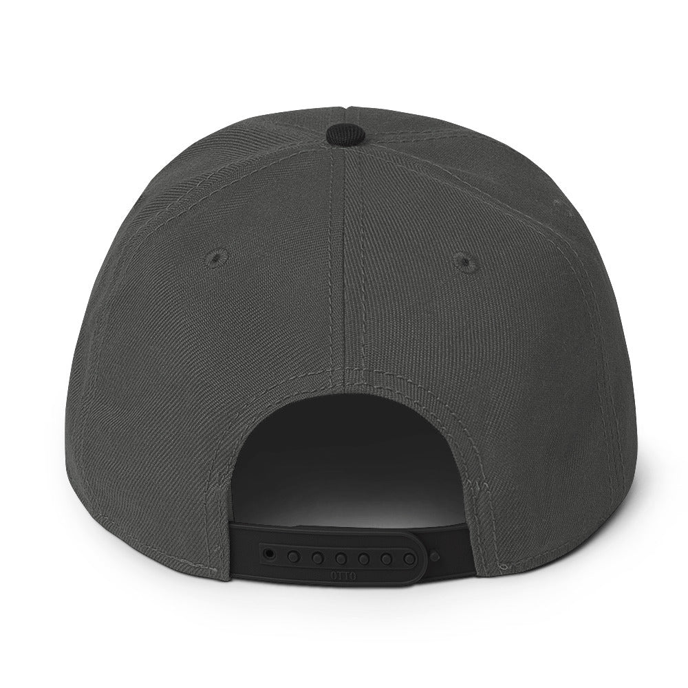 Up & Down Snapback Hat