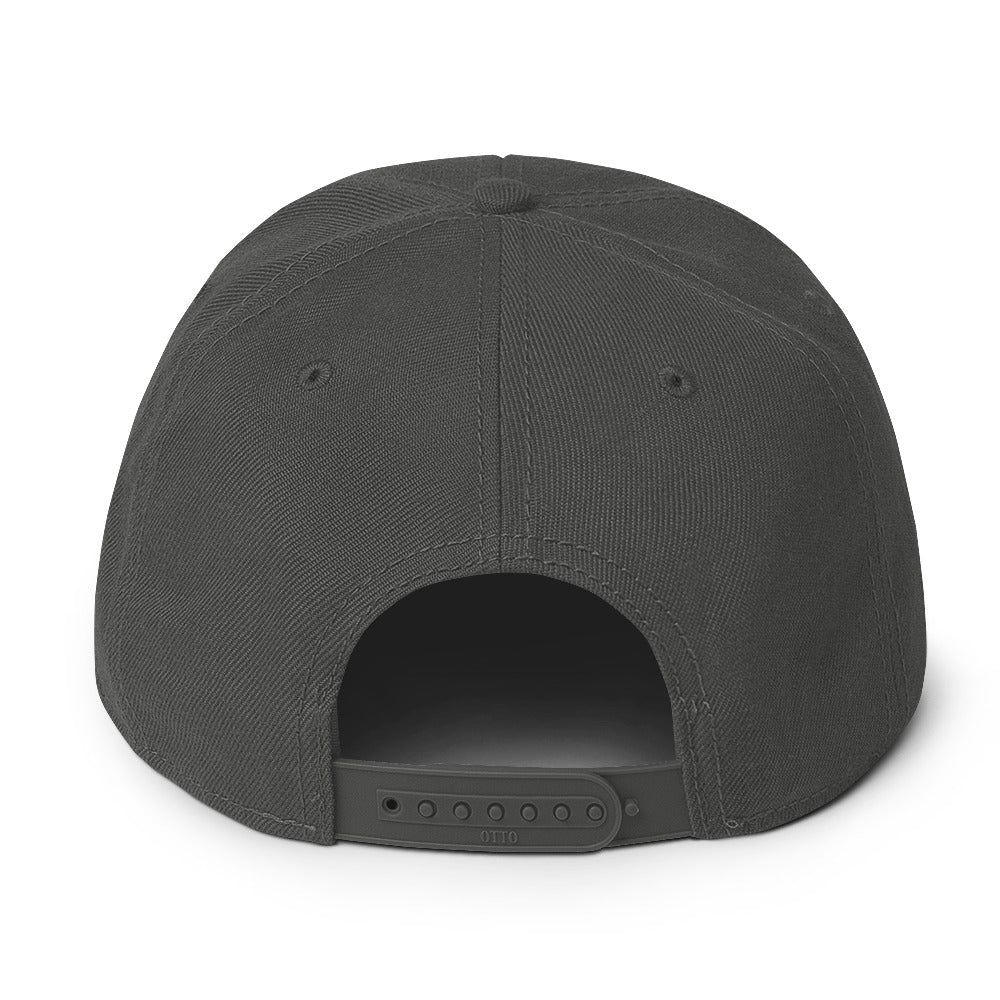 Up & Down Snapback Hat