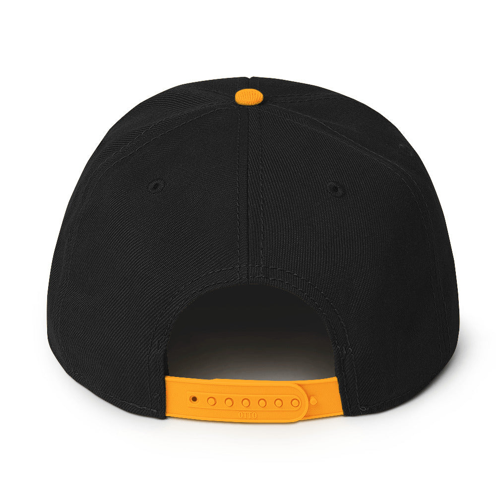 Up & Down Snapback Hat
