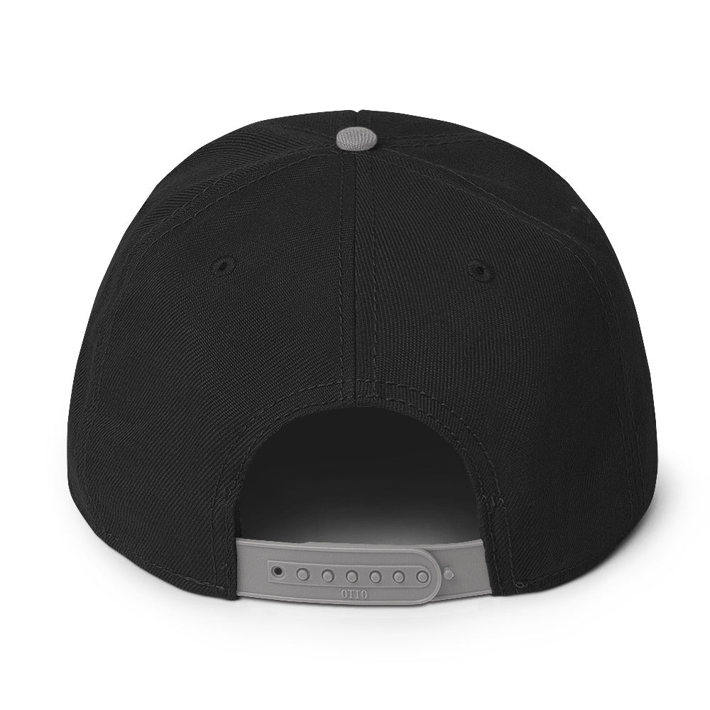 Up & Down Snapback Hat