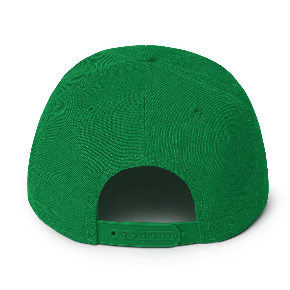 Up & Down Snapback Hat