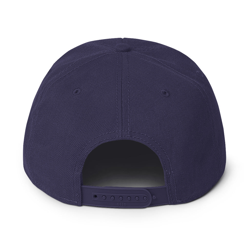 Up & Down Snapback Hat
