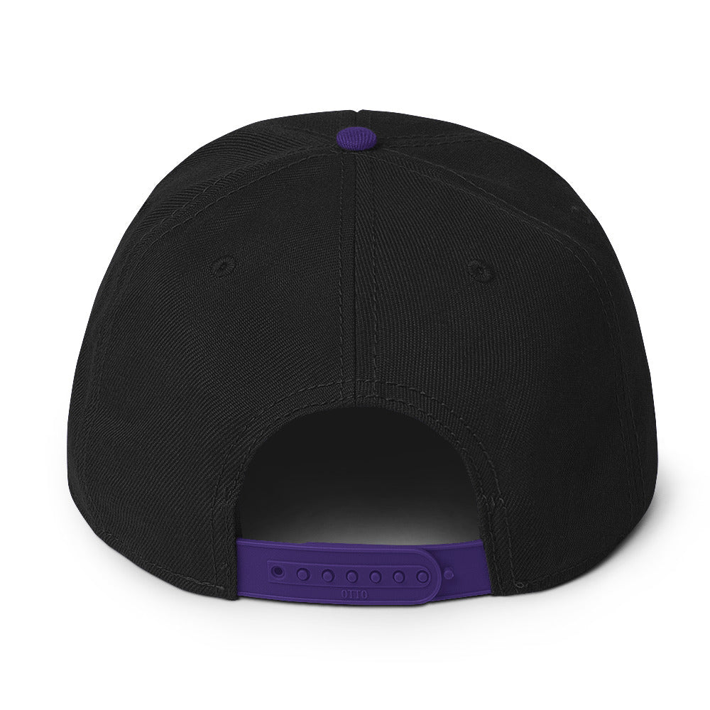 Up & Down Snapback Hat