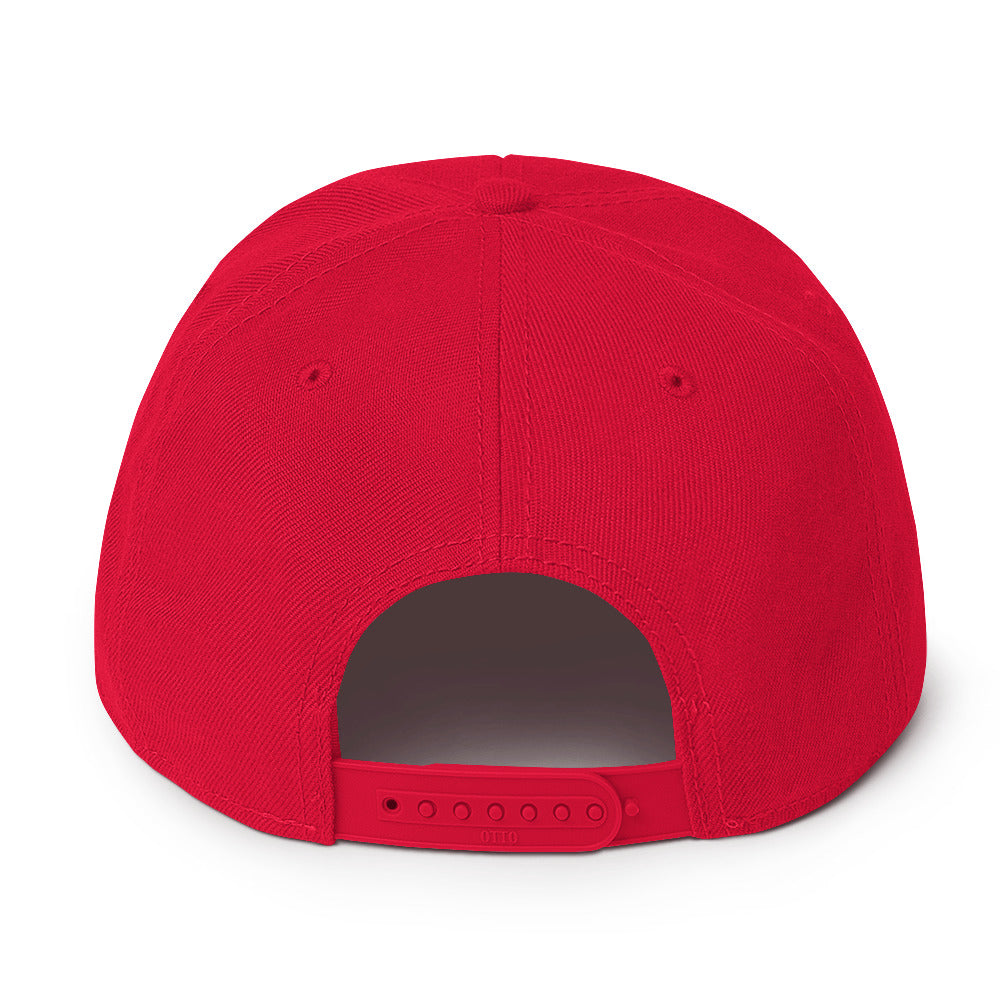 Up & Down Snapback Hat