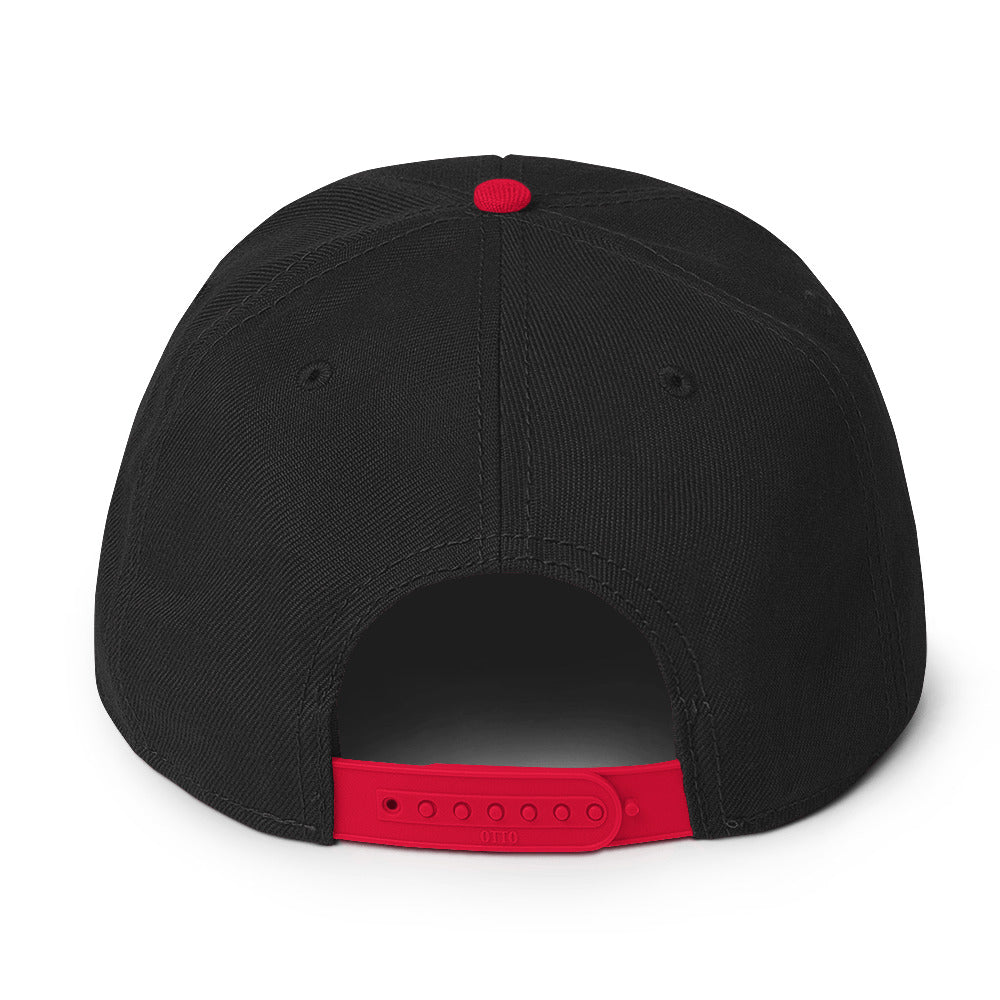 Up & Down Snapback Hat
