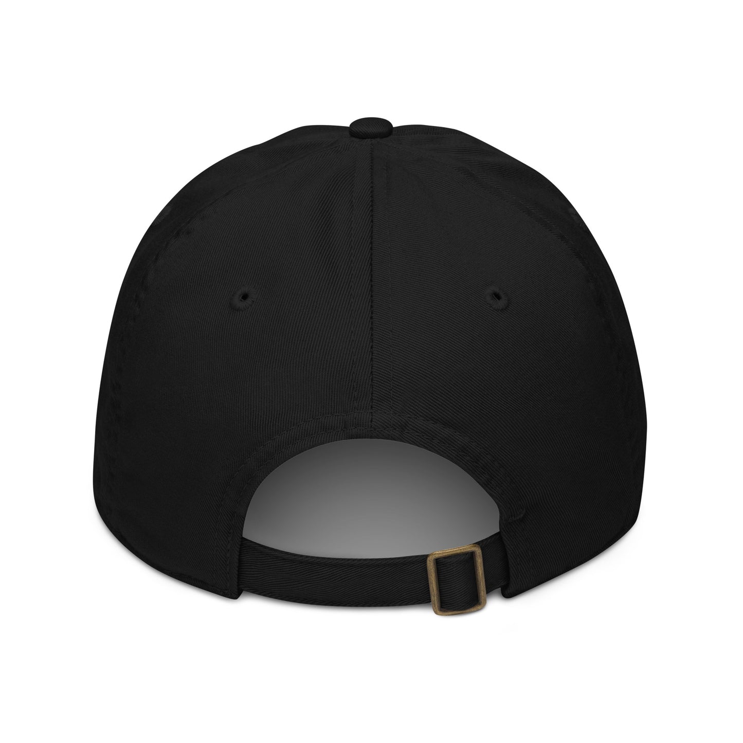 Up & Down Organic Dad Hat