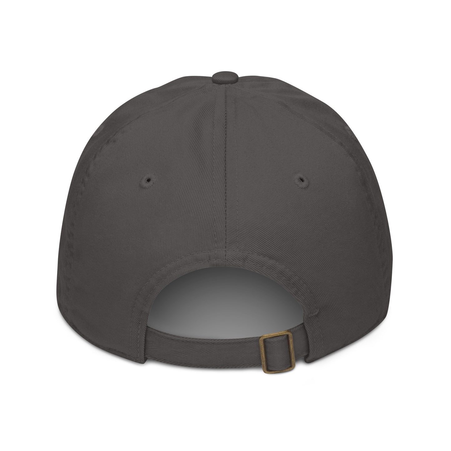 Up & Down Organic Dad Hat