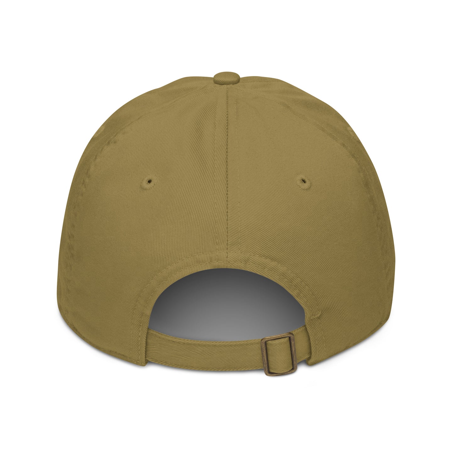 Up & Down Organic Dad Hat