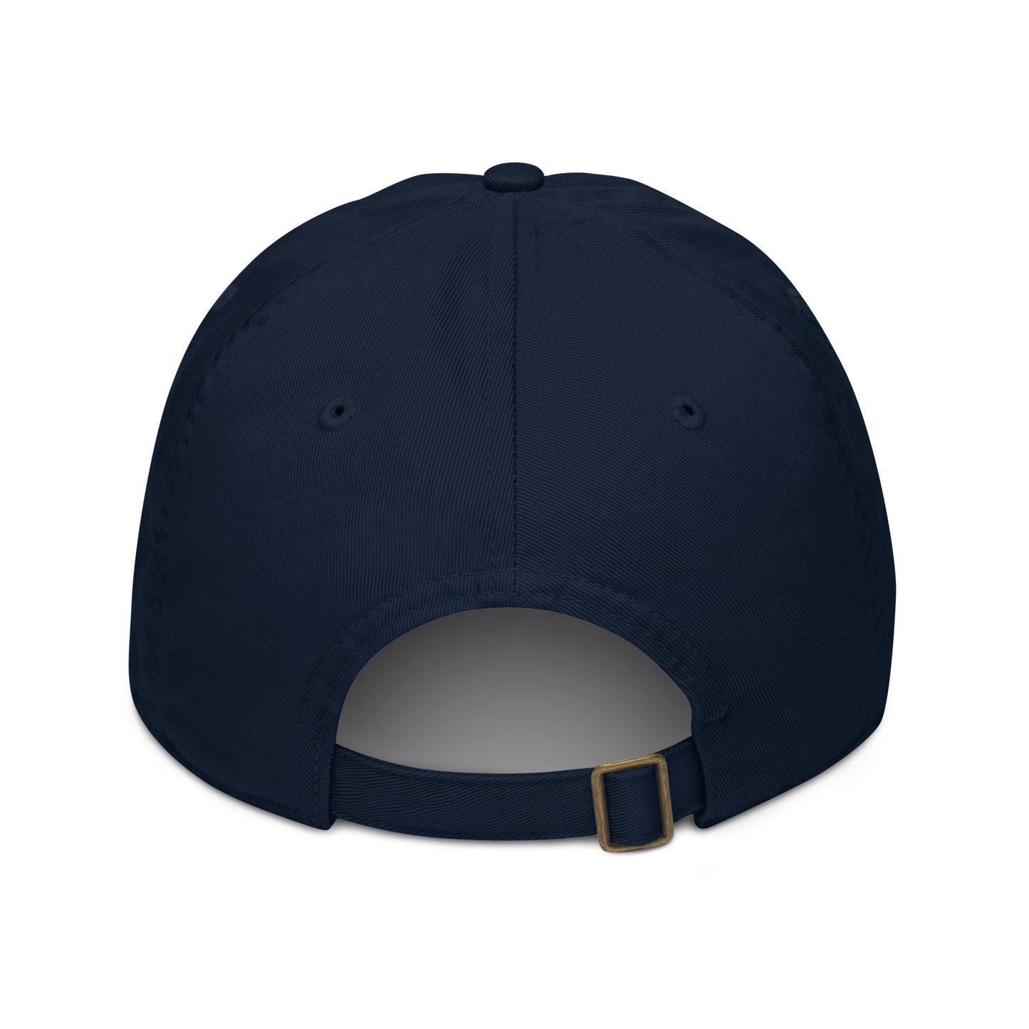 Up & Down Organic Dad Hat